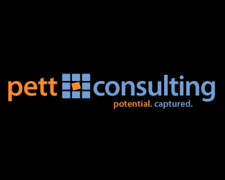 Pett Consulting