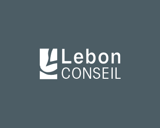 Lebon Conseil