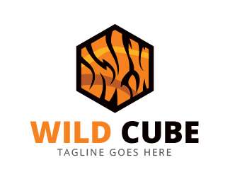 Wild Cube