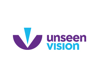 Unseen Vision