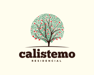 Residencial Calistemo