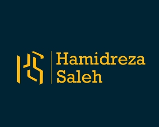 hamidreza saleh