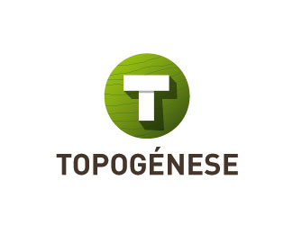 TOPOGENESE