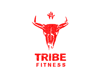 Tribe Fitness