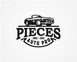 Pieces Auto Pro