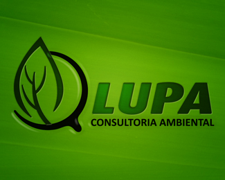 Lupa