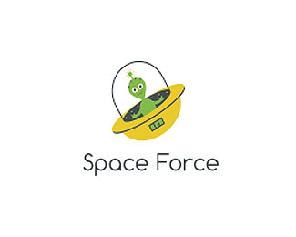 Space Force Logo