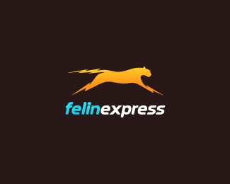 felinexpress