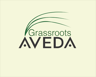 Grassroots Aveda Salon