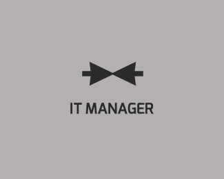 IT Manager