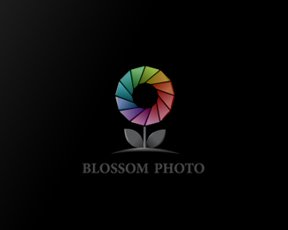 Blossom Photo