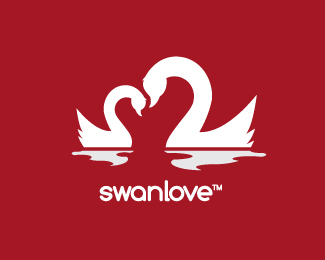 Swan Love