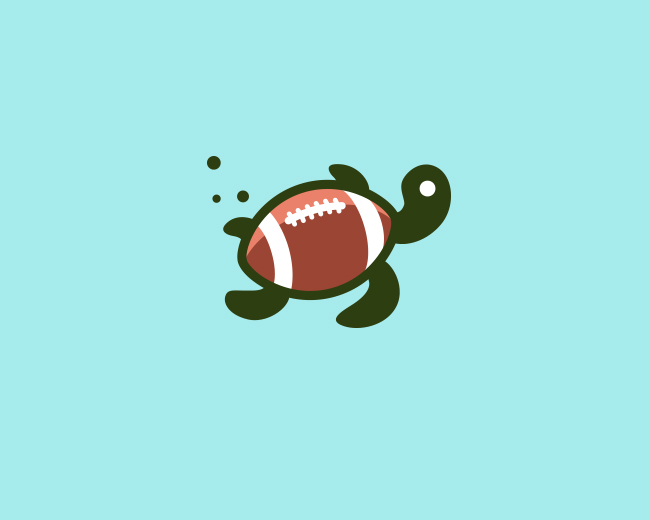 Turtle ball