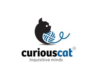 curious cat