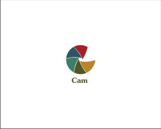 Cam