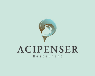 Acipencer