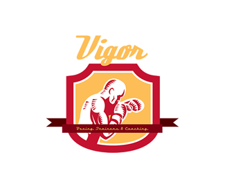 Vigor Boxing Training and Coaching Logo