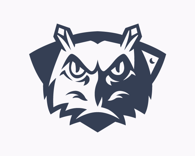 Night Owl Logo