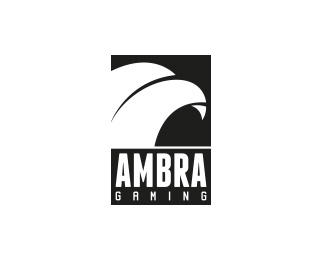 AMBRA GAMING