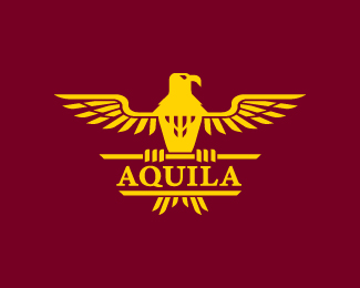 Aquila