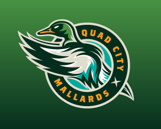 Quad City Mallards 3