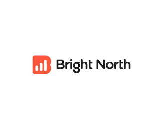 Bright North Brand Identity / Logo Design