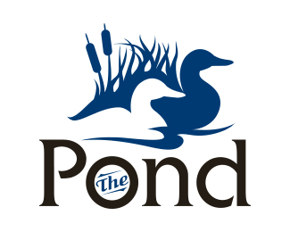 The Pond