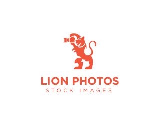 Lion Photos