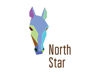 north star