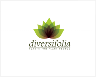 diversifolio