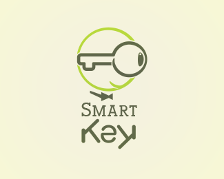 Smart Key