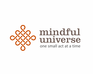 Mindful Universe