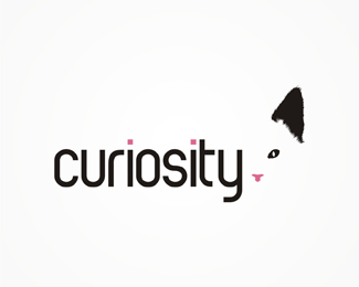 curiosity