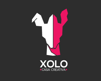 Xolo Casa Creativa