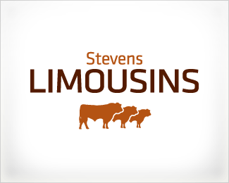 Stevens Limousins