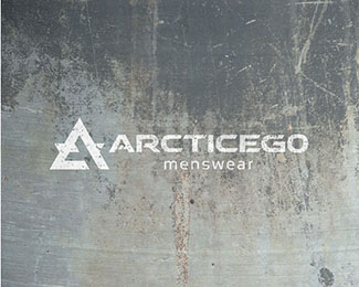 ArcticEGO