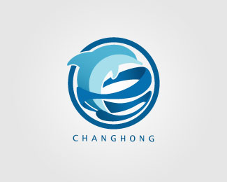 changhong