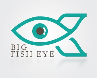 Big fish eye