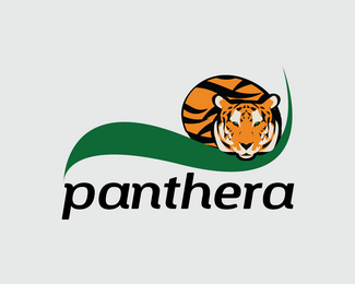 Panthera