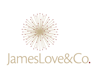 James Love IP Lawyer