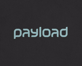 Payload