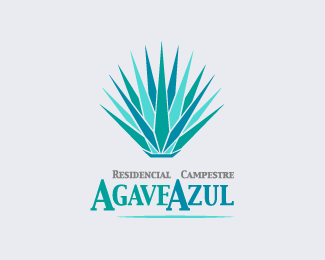 Agave Azul