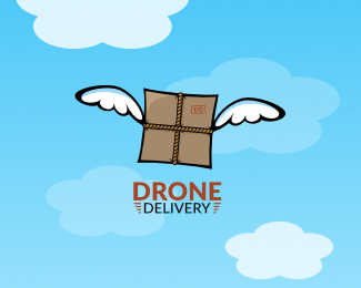 Drone Delivery