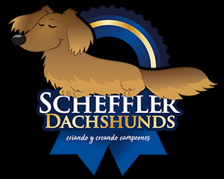 Scheffler Dachshunds