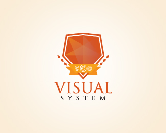 Visual System