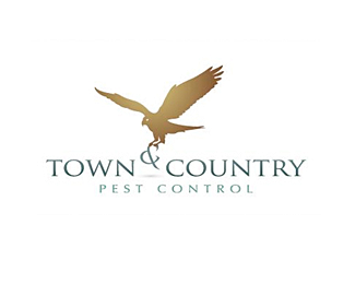 Town & Country