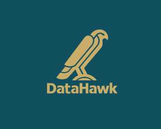 DataHawk