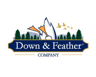 Down & Feather