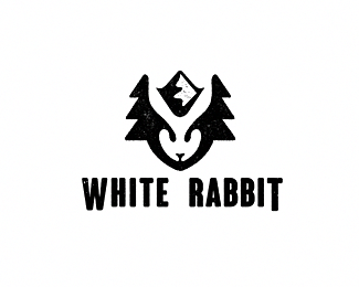 White Rabbit