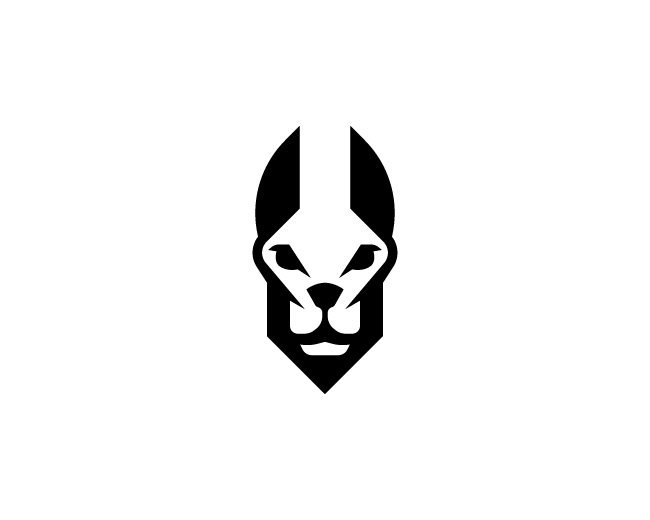 Minimal Anubis